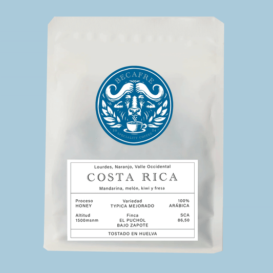 Colombia- Brussels, Pitalito. Decaffeinated